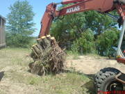 Удаление пней, вывоз веток