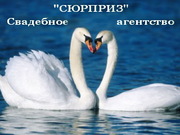 АВТОРСКАЯ ОРГАНИЗАЦИЯ ПРАЗДНИКА