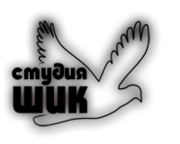 Студия ШИК - свадебная фото и видеосъемка