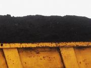 Чернозем Киев (067)4093070. Доставка чернозема, грунта. Засыпка участк