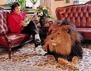 Передержка животных, няня для животных Харьков