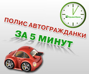 Страхование всего и от всего