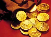 Ведение  зарплатных проектов. Киев.