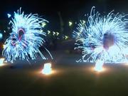 FIRESHOW-Шоу Огня – самый зажигательный подарок в Донецке