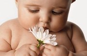 уборка квартир, домов, офисов, торговых площадей