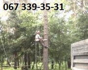 Удаление деревьев, снос домов. Уборка территории.