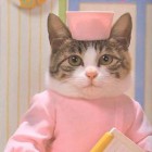 Компьютерная диагностика