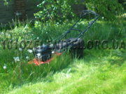 Обслуживание территории. Садовник.