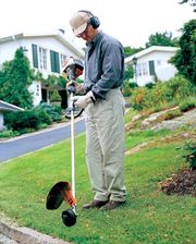 Стрижка газонів,  скошування трави,  послуги садівника
