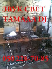 Тамада на свадьбу Днепропетровск