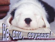 Дипломные, курсовые, рефераты любой сложности