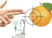 Минеральное обертывание + массаж