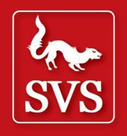 Бухгалтерские услуги Запорожье (отчеты в налоговую, пенсионный фонд)