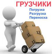 Грузоперевозки,  вывоз мусора,  услуги грузчиков. Ремонтные работы.