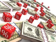 Финансовая помощь частного инвестора