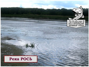 Приглашаем любителей «рыбных трофеев» на КЛАСС!ную рыбалку на р. Роcь!