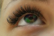 Наращивание ресниц на дому у мастера,  Киев,  200 грн