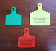 Маркировка ушных бирок для животных