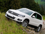 Аренда авто с водителем 