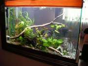 Обслуживание аквариумов Киев и Область