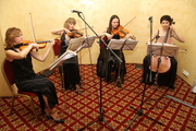 Живая музыка на праздник, струнный квартет