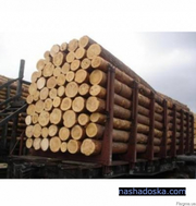 Стафировка,  перевалка леса