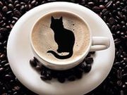 Консультация на Таро по телефону или скайпу. Вопрос бесплатно.