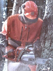 СПИЛ ОБРЕЗКА ДЕРЕВЬЕВ.