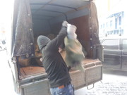 Вывоз   строительного     мусора .