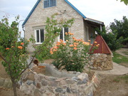 Отдых у Азовского моря.