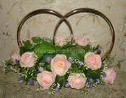 Кольца на прокат, Киев.