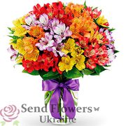 Цветы