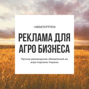 Реклама для агро бизнеса 