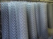 Сітка рабиця.  